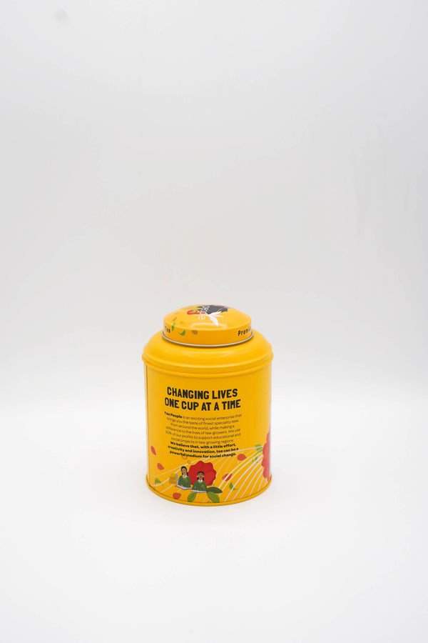 Tea People Tumeric Chai (Tea Pyramid)